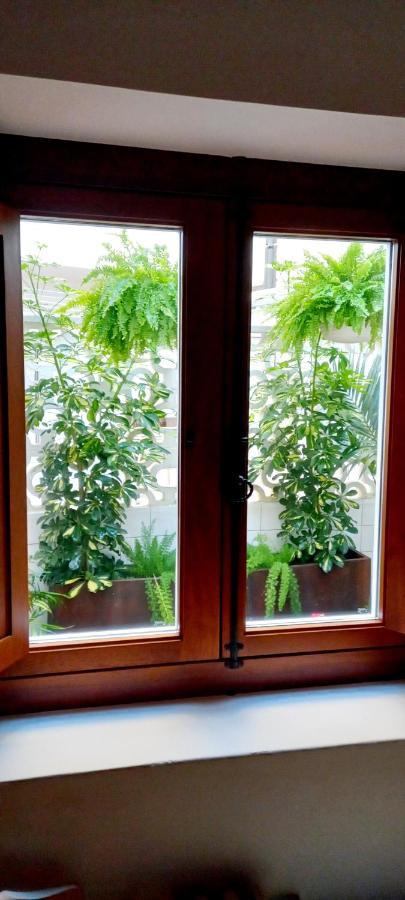 Duplex En Pazo Marques De Aranda Lägenhet Pontevedra Exteriör bild
